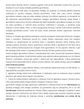 Strategijos įgyvendinimas 11 puslapis