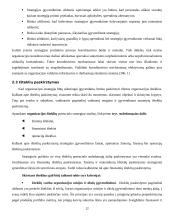 Strategijos įgyvendinimas 12 puslapis