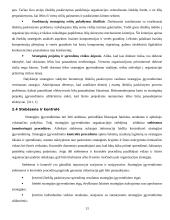 Strategijos įgyvendinimas 13 puslapis