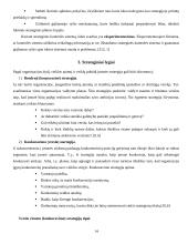 Strategijos įgyvendinimas 14 puslapis