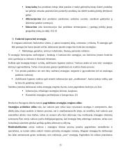 Strategijos įgyvendinimas 15 puslapis