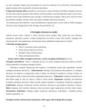 Strategijos įgyvendinimas 16 puslapis