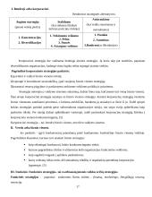 Strategijos įgyvendinimas 17 puslapis