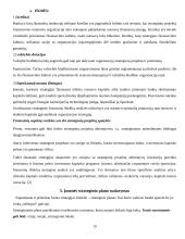 Strategijos įgyvendinimas 19 puslapis