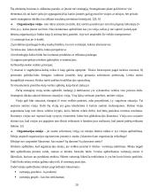 Strategijos įgyvendinimas 20 puslapis