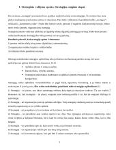 Strategijos įgyvendinimas 3 puslapis