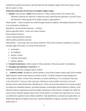 Strategijos įgyvendinimas 4 puslapis