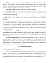 Strategijos įgyvendinimas 7 puslapis