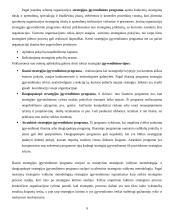 Strategijos įgyvendinimas 9 puslapis