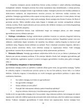 Strategijos įgyvendinimas 10 puslapis