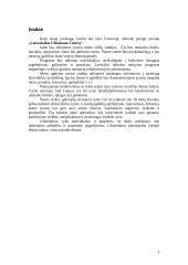 Strateginio vystymo planas: "Laisvalaikio Užimtumo Centras" 3 puslapis