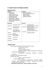 Strateginio vystymo planas: "Laisvalaikio Užimtumo Centras" 4 puslapis