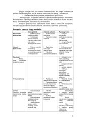 Strateginio vystymo planas: "Laisvalaikio Užimtumo Centras" 6 puslapis