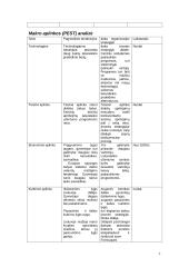 Strateginio vystymo planas: "Laisvalaikio Užimtumo Centras" 7 puslapis