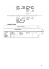 Strateginio vystymo planas: "Laisvalaikio Užimtumo Centras" 8 puslapis