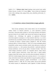 5–6 metų amžiaus vaikų etnokultūrinės patirties ypatumai 11 puslapis
