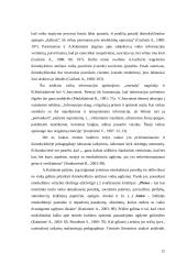 5–6 metų amžiaus vaikų etnokultūrinės patirties ypatumai 12 puslapis