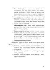 5–6 metų amžiaus vaikų etnokultūrinės patirties ypatumai 18 puslapis