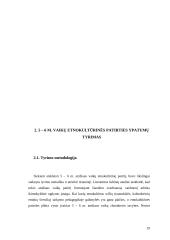 5–6 metų amžiaus vaikų etnokultūrinės patirties ypatumai 19 puslapis