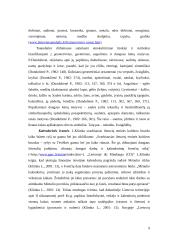 5–6 metų amžiaus vaikų etnokultūrinės patirties ypatumai 9 puslapis