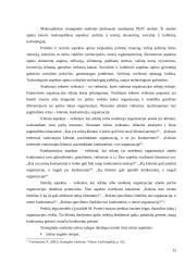 Strateginio planavimo samprata, tikslai, metodika bei procesas 13 puslapis