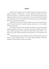 Strateginio planavimo samprata, tikslai, metodika bei procesas 3 puslapis