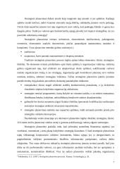 Strateginio planavimo samprata, tikslai, metodika bei procesas 7 puslapis