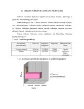Aplinkosaugos būklės vertinimas AB "Lietuvos elektrinė" 13 puslapis
