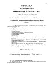 Apskaitos politika: UAB "Briauna" 12 puslapis