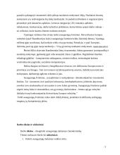 Suaugusiųjų mokytojo charakteristika 3 puslapis