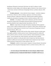 Suaugusiųjų mokytojo charakteristika 5 puslapis