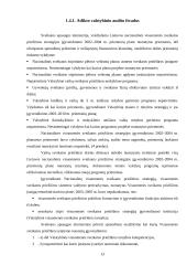 Sveikatos priežiūros poreikis mokyklose 13 puslapis