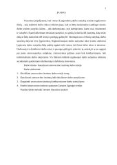 Atstovavimo institutas darbo teisėje 3 puslapis