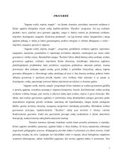 Sveikatos ugdymo programa: "Augame sveiki, stiprūs, saugūs" 2 puslapis