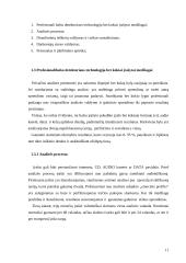 Balso analizės pritaikymas nekilnojamo turto verslui 11 puslapis