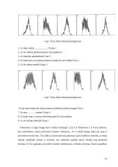 Balso analizės pritaikymas nekilnojamo turto verslui 14 puslapis