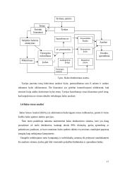 Balso analizės pritaikymas nekilnojamo turto verslui 17 puslapis