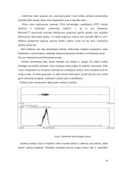 Balso analizės pritaikymas nekilnojamo turto verslui 18 puslapis