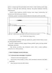 Balso analizės pritaikymas nekilnojamo turto verslui 19 puslapis