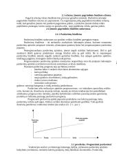 Biudžetų esmė ir jų vaidmuo įmonės planavimo ir kontroliavimo procese 13 puslapis