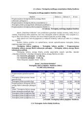 Biudžetų esmė ir jų vaidmuo įmonės planavimo ir kontroliavimo procese 17 puslapis