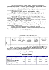 Biudžetų esmė ir jų vaidmuo įmonės planavimo ir kontroliavimo procese 19 puslapis