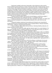 Biudžetų esmė ir jų vaidmuo įmonės planavimo ir kontroliavimo procese 3 puslapis