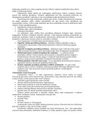 Biudžetų esmė ir jų vaidmuo įmonės planavimo ir kontroliavimo procese 4 puslapis