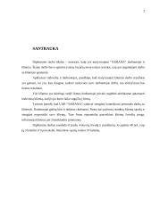 Darbuotojų ir klientų motyvacija: UAB "Samana" 2 puslapis