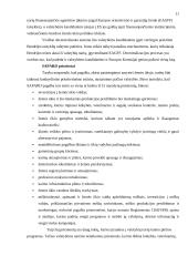 Šiaulių miesto įmonių dalyvavimo Europos Sąjungos (ES) programose tyrimas vadovų požiūriu 11 puslapis