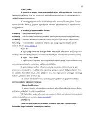 Šiaulių miesto įmonių dalyvavimo Europos Sąjungos (ES) programose tyrimas vadovų požiūriu 13 puslapis