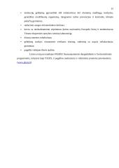 Šiaulių miesto įmonių dalyvavimo Europos Sąjungos (ES) programose tyrimas vadovų požiūriu 15 puslapis