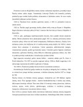 Šiaulių miesto situacijos analizė 2 puslapis