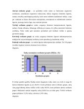 Šiaulių miesto situacijos analizė 14 puslapis